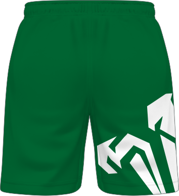 ALTERNATE SHORTS 3 BACK